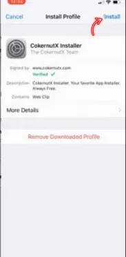 Arrow pointing to Install button for Subway Surfers mod APK installation