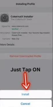 Arrow pointing to Install button for Subway Surfers mod APK installation