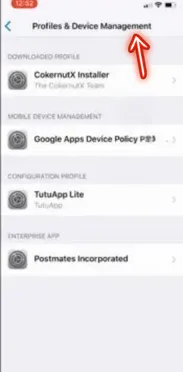 iPhone settings screen showing Profile and Device Management for APK installation